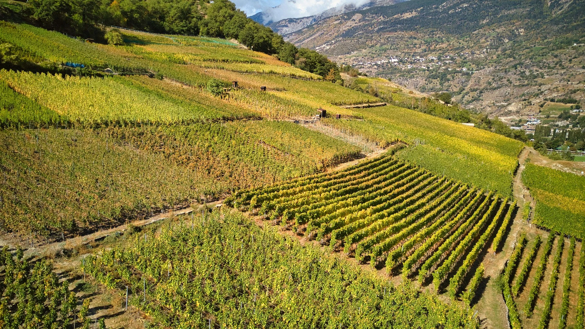 Rhône Valley scenic view